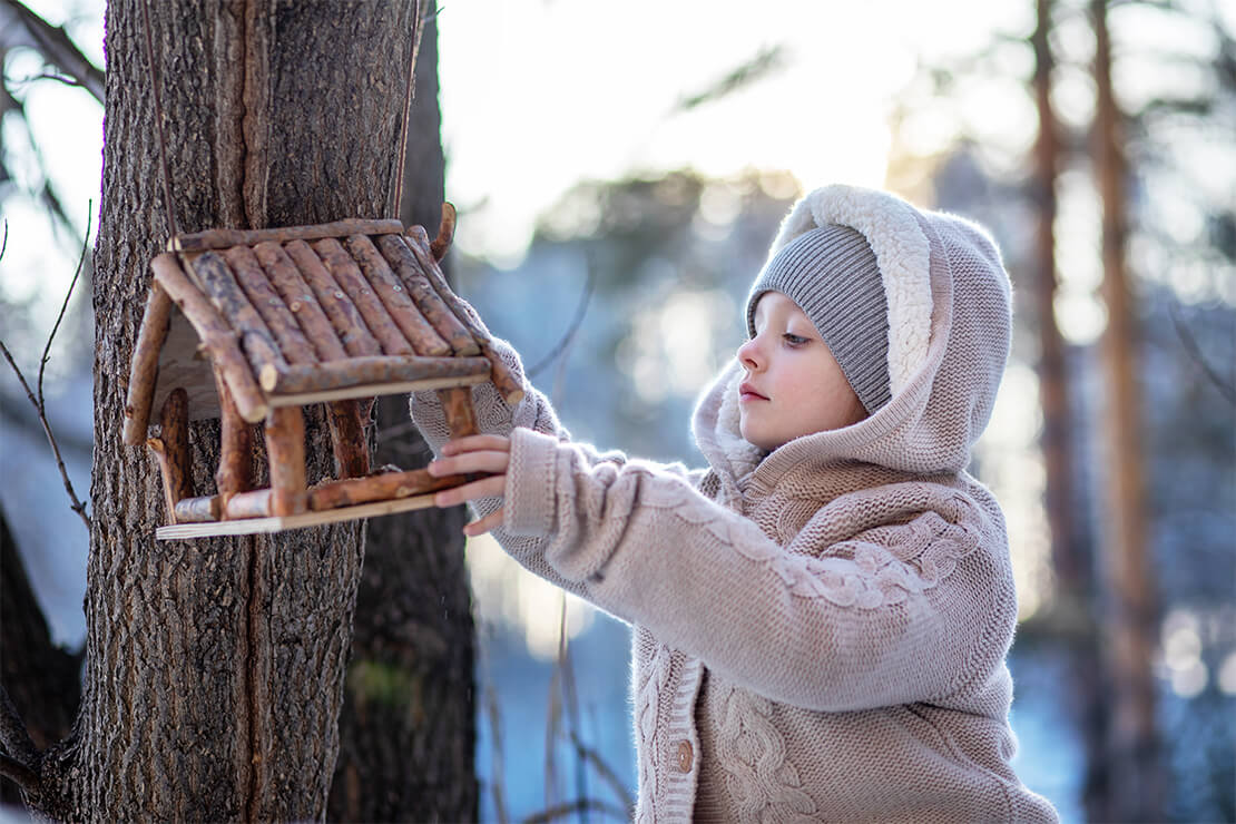 Így etesd a madarakat helyesen
