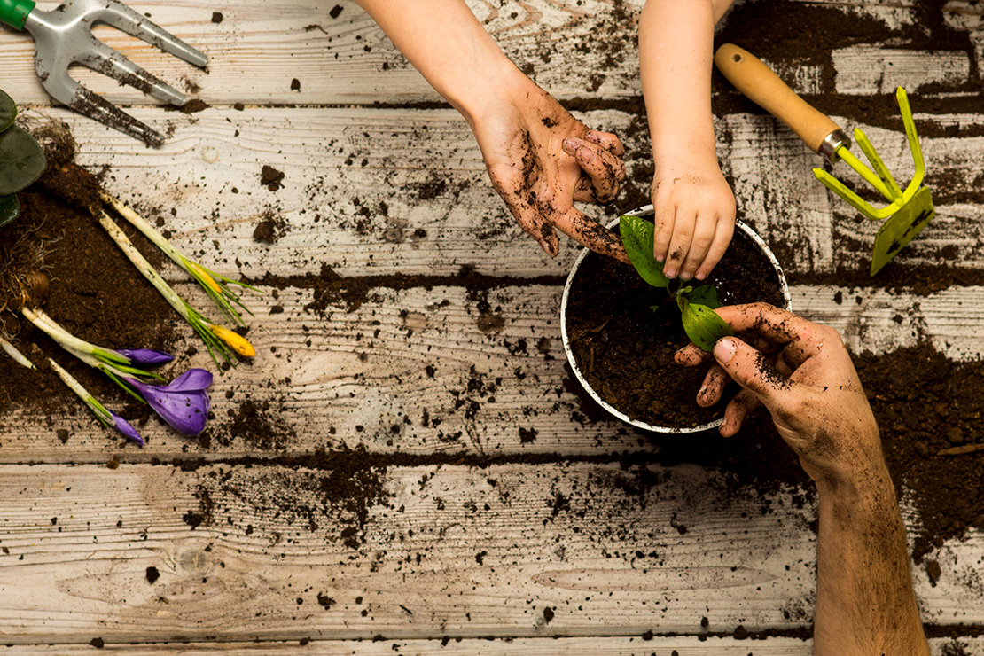 Ébredezik a természet – a kertben is fontos teendők várnak!