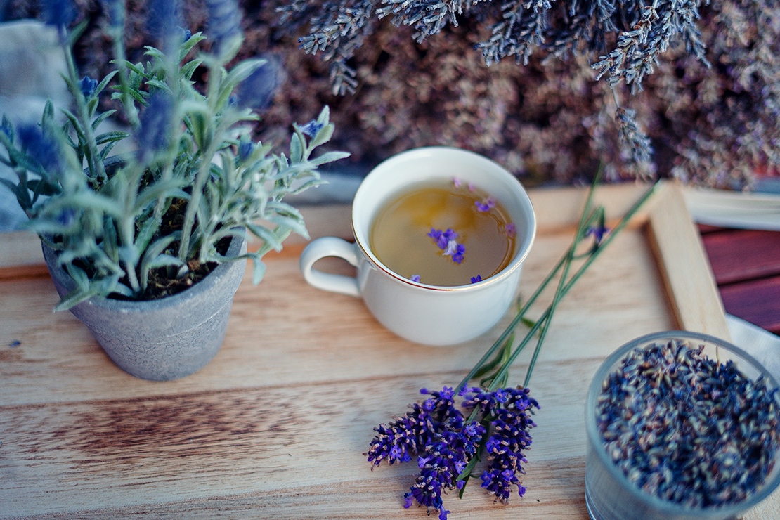 Mindent a levenduláról