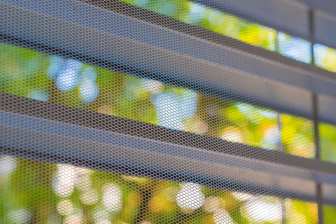 Védelem a vérszívók ellen