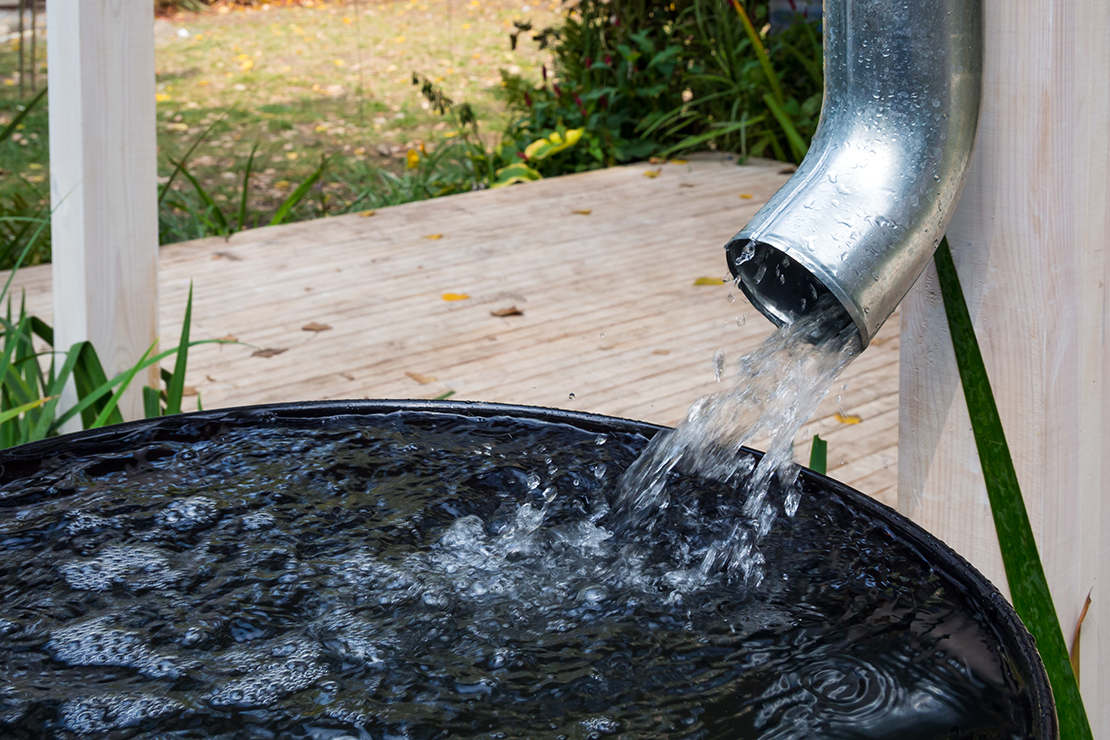 A zöld lét egyik eleme: esővízgyűjtés a kertben